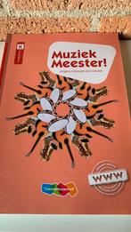 Rinze van der Lei - Muziek Meester!, Rinze van der Lei; Lieuwe Noordam; Frans Haverkort, Ophalen of Verzenden, Zo goed als nieuw