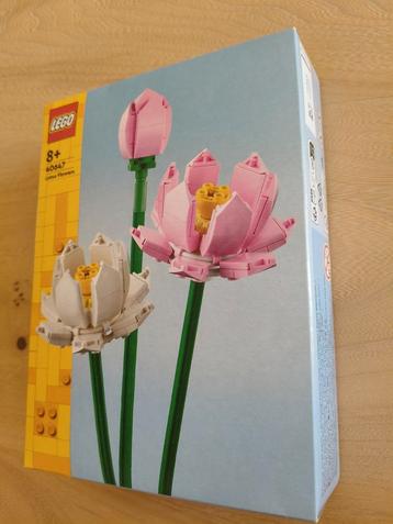 Lego Lotus Flowers - 40647 - Nieuw in verpakking  beschikbaar voor biedingen