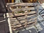 1x Pallet gratis, Tuin en Terras, Tuinhekken en Hekwerk, Ophalen, Gebruikt, Hout, Tuinhek