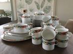 Friesland Germany porselein servies | Jeverland Rio, Huis en Inrichting, Keuken | Servies, Ophalen, Gebruikt, Overige stijlen