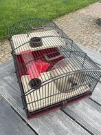 Hamsterhok, Dieren en Toebehoren, Ophalen, Minder dan 75 cm, Hok, Minder dan 60 cm