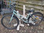 Sportieve dames-/meisjesfiets Riverside, Ophalen, Gebruikt, 26 inch of meer, Handrem