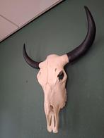 Schedel stier / koe, Ophalen of Verzenden, Zo goed als nieuw