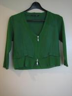 Groen speels blouse-vestje of vestjasje NILL'S 38 snazzeys, Kleding | Dames, Maat 38/40 (M), Verzenden, Nill's, Zo goed als nieuw