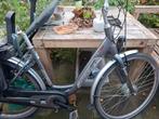 Giant twist single defect, gaat om 3 accu's. Zie foto's., Fietsen en Brommers, Fietsaccessoires | Fietsaccu's, Ophalen, Gebruikt