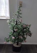 Prachtige glazen Aziatische plant, Ophalen, Zo goed als nieuw