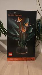 Lego bird of paradise, Kinderen en Baby's, Speelgoed | Duplo en Lego, Ophalen of Verzenden, Nieuw
