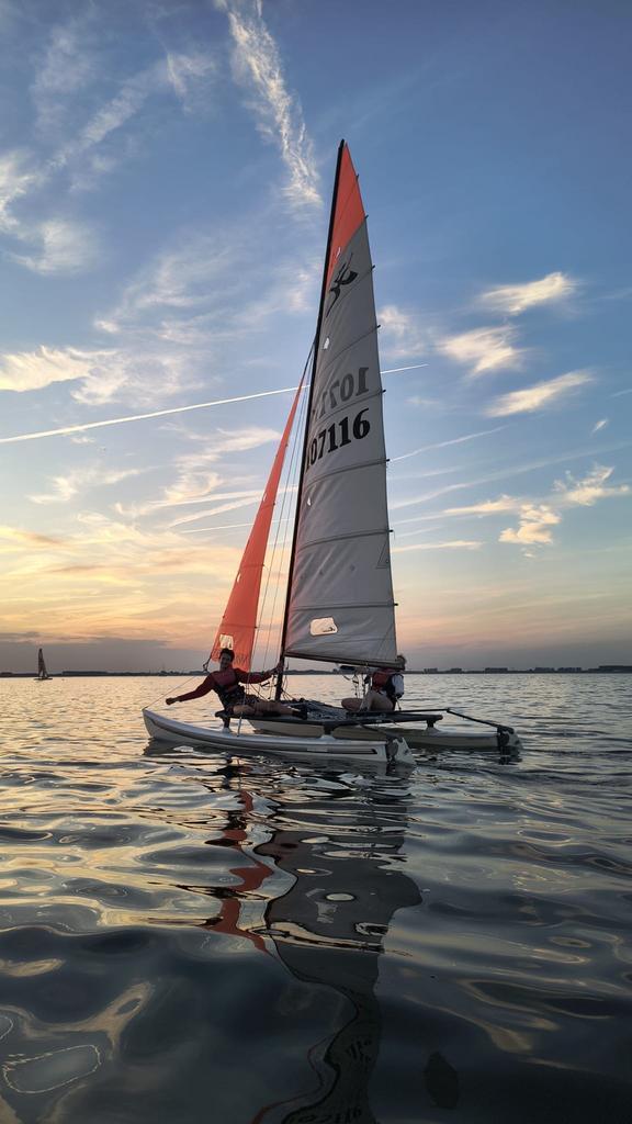 Hobie 16 met wegtrailer te koop! (Nieuwe foto’s), Watersport en Boten, Catamarans, Gebruikt, Benzine, Ophalen of Verzenden