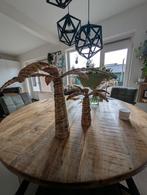 Leuke palmbomen voor in huis, Huis en Inrichting, Woonaccessoires | Overige, Ophalen of Verzenden, Zo goed als nieuw