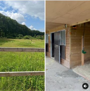 (Tijdelijk)te huur weide (ruim 1 hect) luxe (schuil)Stalling beschikbaar voor biedingen