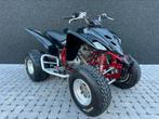 Yamaha Raptor 350 R Special Edition Quad 2005 NL-kenteken, Motoren, Quads en Trikes, 1 cilinder, 350 cc