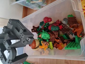 Duplo beschikbaar voor biedingen