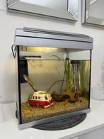 Aquarium, Dieren en Toebehoren, Vissen | Aquaria en Toebehoren, Ophalen, Gebruikt, Plant(en), Steen of Hout