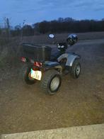 E-ton quad