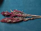 Amaranthus droogbloemen, Ophalen, Zo goed als nieuw, Boek