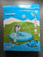 Splash Pool hond, Ophalen of Verzenden, Zo goed als nieuw, Waterspeelgoed