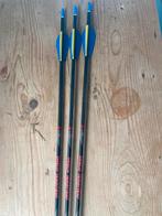 Carbon pijlen Avalon, Sport en Fitness, Handboogschieten, Ophalen of Verzenden, Nieuw, Pijlen