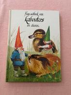Flap uitboek van Kabouters en dieren David de Kabouter boek!, Ophalen of Verzenden, Gelezen, Rien Poortvliet