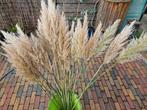 Pampus gras pluimen decoratie, Ophalen, Nieuw