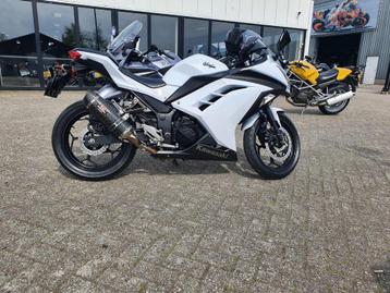 Kawasaki ninja 300(perfecte beginners motor) beschikbaar voor biedingen