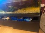 Aquarium inclusief/exclusief kast, Dieren en Toebehoren, Ophalen, Leeg aquarium