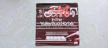 F. M.   /  in the valley back home  1978 beschikbaar voor biedingen