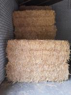 Mais balen te koop, Dieren en Toebehoren, Ophalen, Vee