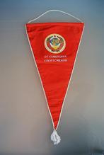 Vaandel Vlag Sovjet CCCP Oostblok Oekraïne - 2 uitvoeringen, Antiek en Kunst, Ophalen of Verzenden