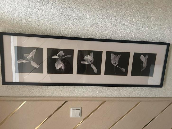 Ikea Schilderij Tulp Zwart Wit - 112x33cm, Huis en Inrichting, Woonaccessoires | Schilderijen, Tekeningen en Foto's, Zo goed als nieuw