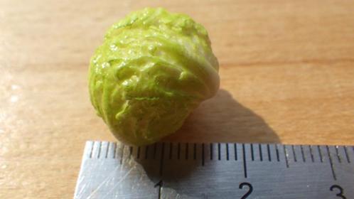 Poppenhuis: Groene Kool, Verzamelen, Poppenhuizen en Toebehoren, Nieuw, Poppenhuis, Ophalen of Verzenden