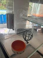 Tarrarium gebruikt, Dieren en Toebehoren, Knaagdieren en Konijnen | Hokken en Kooien, Gebruikt, 60 tot 90 cm, Minder dan 75 cm