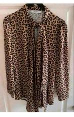 Blouse ambika maat s, Kleding | Dames, Blouses en Tunieken, Ambika, Ophalen of Verzenden, Zo goed als nieuw, Maat 36 (S)