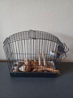 Vogelkooien brocante, antiek, Antiek en Kunst, Curiosa en Brocante, Ophalen