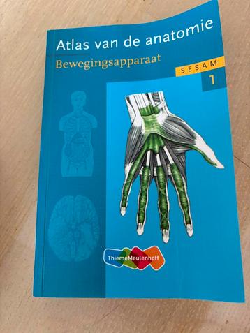 Werner Platzer - deel 1 Bewegingsapparaat beschikbaar voor biedingen