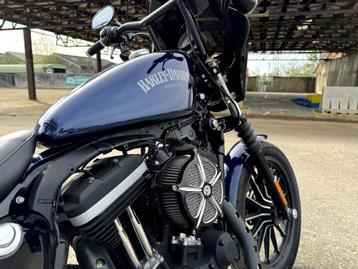 Prachtige Harley Davidson Sportster 883 Iron + Video