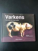 Varkens, portretten van fraaie rassen, Boeken, Dieren en Huisdieren, Ophalen of Verzenden, Zo goed als nieuw, Vee, Andy Case