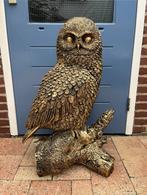 uil (goud/zwart) 80hoog 60breed/Nieuw!, Ophalen, Nieuw, Dier