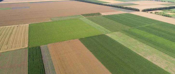 Akkers of weide grond, Tuin en Terras, Overige Tuin en Terras, Ophalen