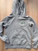 Santa Cruz Hoody Grijs XS Japanse Print Skate Surf, Ophalen of Verzenden, Zo goed als nieuw, Grijs