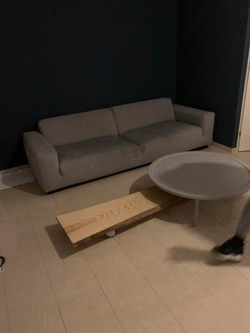 boomstamtafel vt wonen  beschikbaar voor biedingen