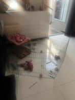 Puppy ranch…., Dieren en Toebehoren, Ophalen of Verzenden