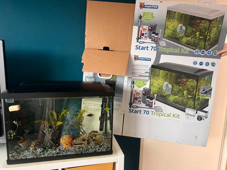 Aquarium 60L superfish start 70 met veel extra toebehoren, Dieren en Toebehoren, Vissen | Aquaria en Toebehoren, Zo goed als nieuw
