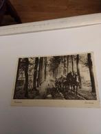 DENEKAMP.  ZANDWEG, Ophalen of Verzenden, Voor 1920, Drenthe