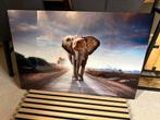 Glazen schilderij met olifant - 62x93 cm, Ophalen, Zo goed als nieuw, Schilderij, 75 cm of meer