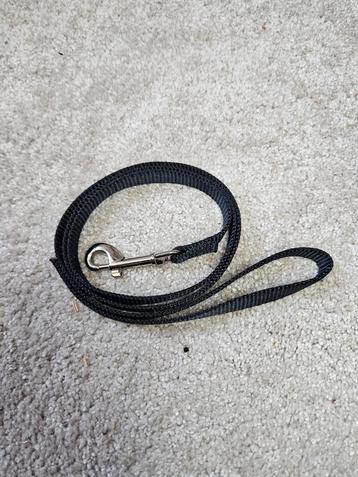 Puppy lijntje 109 cm beschikbaar voor biedingen