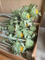Artisjok / Artichoke / Protea kunstbloemen, Ophalen of Verzenden, Zo goed als nieuw