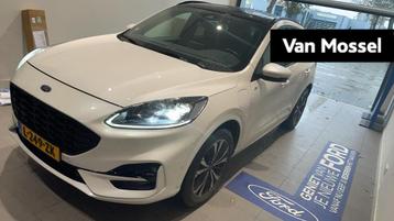 Ford Kuga 2.5 PHEV ST-Line X Panodak / trekhaak / 19"/ B&O / beschikbaar voor biedingen