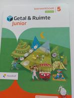 Getal & Ruimte Junior leerwerkboek groep 5 blok 8 en 9, Boeken, Schoolboeken, Ophalen of Verzenden, Zo goed als nieuw