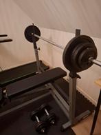 Body Solid Halterbank + Gewichten, Ophalen, Gebruikt, Rug, Fitnessbank