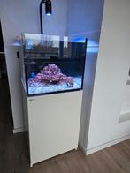 Red sea reefer 200 g2, Ophalen, Zo goed als nieuw, Gevuld zeewateraquarium